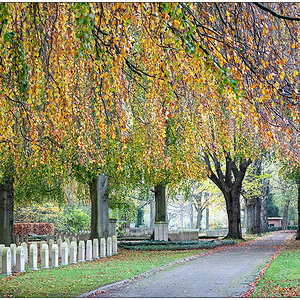 502 Kiel Nordfriedhof