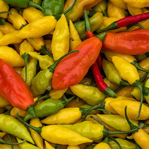Chiliernte 22.jpg