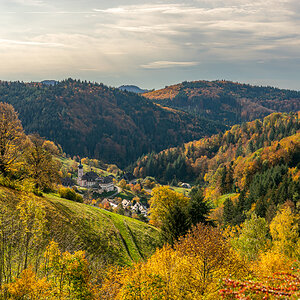 20201025-DSC_0107.jpg