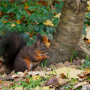 PB191086-Bearbeitet-2.jpg