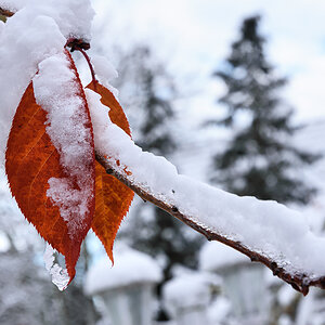 OF2_60717.jpg