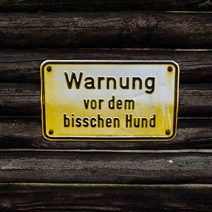 Ein bisschen Hund.jpg