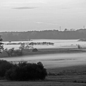 Seewiesen 1625_bearbeitet-BW.jpg