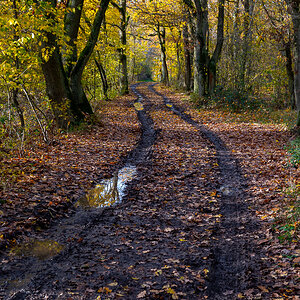 Herbstweg