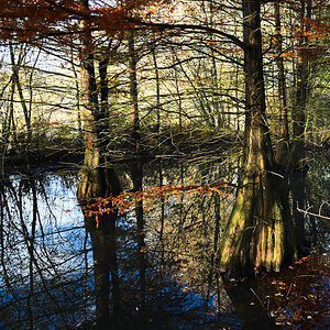 DSC_6949.jpg