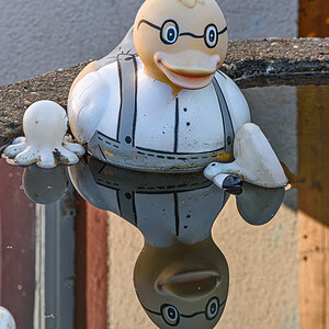 OF2_60396.jpg