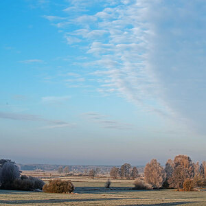Frost in den Seewiesen 3.jpg