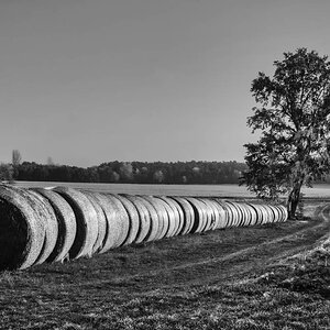 Ballenweg 2 BW.jpg