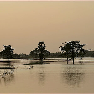 comp_2SunSet2.jpg