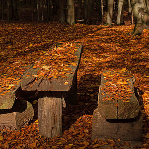 Herbstbank.jpg