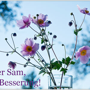 523 Gute Bessserung!