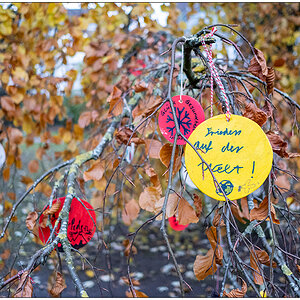 528 Wunschbuche im Kieler Schrevenpark – Frieden auf der Welt