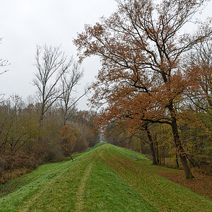OF2_60902.jpg