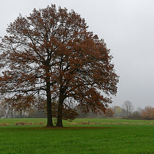 811_8356t10l10s50p1.jpg