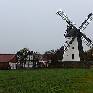 811_8361t1l10s50p1.jpg