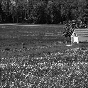 DS2_2087.jpg