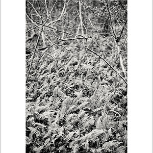 20181227-L1020102-Bearbeitet.JPG