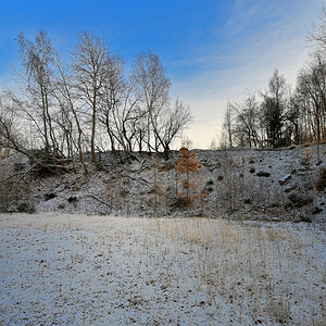 nauberg-10.JPG