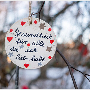 537 Schrevenpark Wunschbaum IV