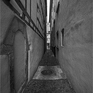 DZ7_8192.jpg