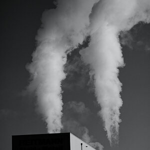 SF7_2028-1.jpg