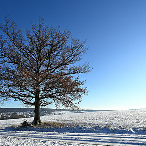 Winter-01.JPG