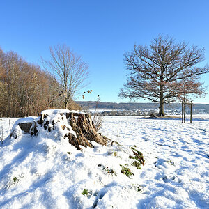 Winter-02.JPG