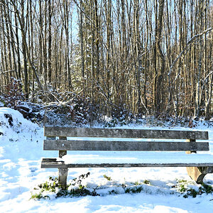 Winter-05.JPG
