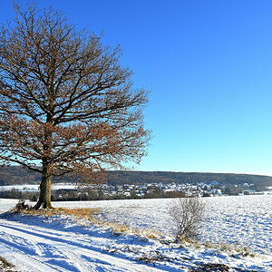 Winter-06.JPG