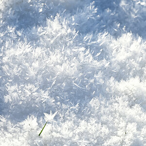 Winter-09.JPG