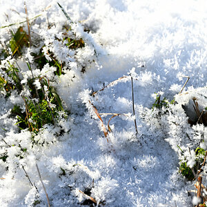 Winter-10.JPG