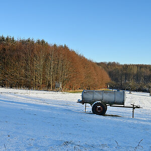 Winter-12.JPG