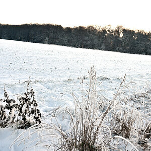 Winter-15.JPG
