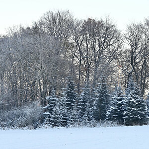 Winter-17.JPG