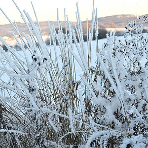 Winter-19.JPG