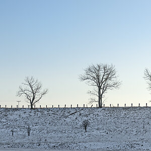 OF2_61083.jpg