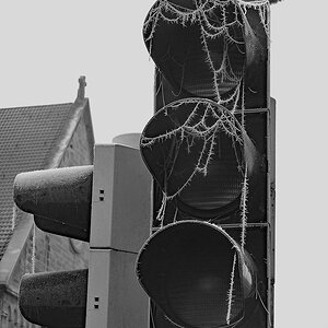 _1230075NxlSW.jpg
