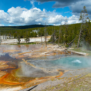 DSC_1896-2.jpg