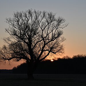 NZ6_2812_00001.jpg