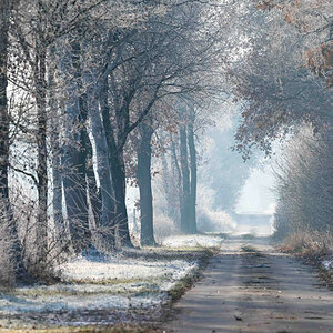 Moorweg.jpg
