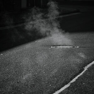 SF7_2011_2.jpg