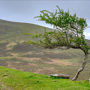 DZ7_4693.jpg