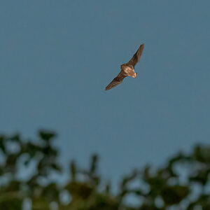 D50_6405-Bearbeitet-2.jpg