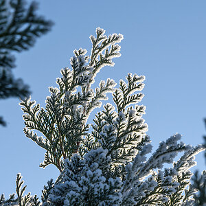 OF2_61190.jpg