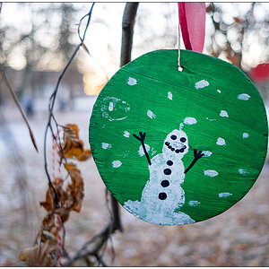 567 Schrevenpark – Wunschbaum Schneemann