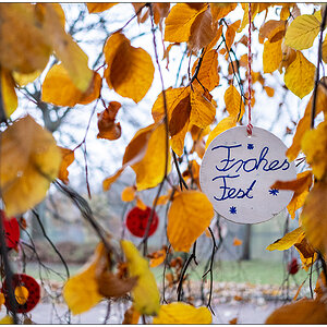571 Schrevenpark – Wunschbaum Frohes Fest
