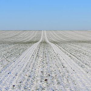 OF2_61060.jpg