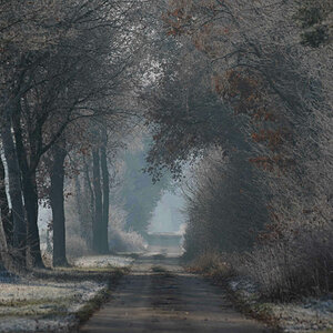 Moorweg 4.jpg