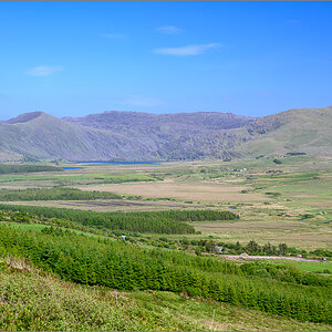 DZ7_5205.jpg
