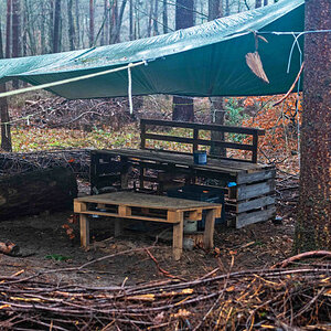 Waldkindergarten.jpg